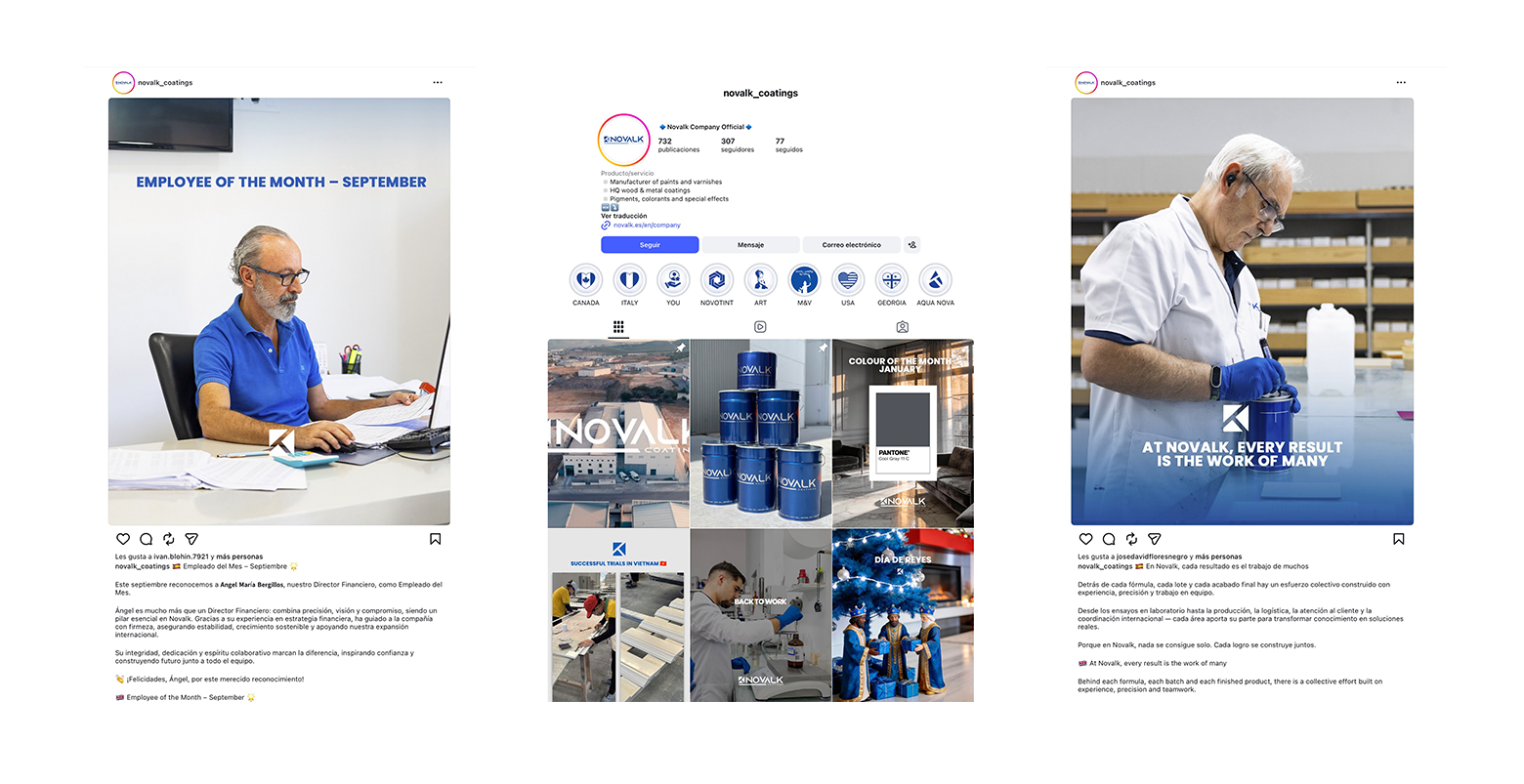 Novalk: desarrollo web a medida para una empresa industrial con mercado internacional