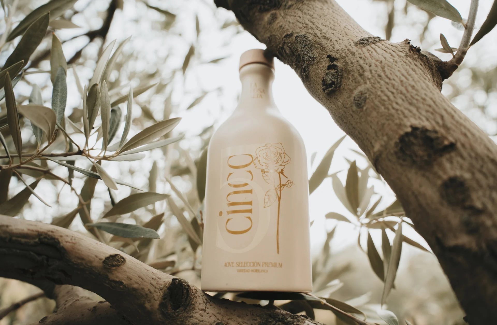 La Rosa Alta: una marca de aceite de autor nacida en la Subbética cordobesa - Proyecto para La Rosa Alta