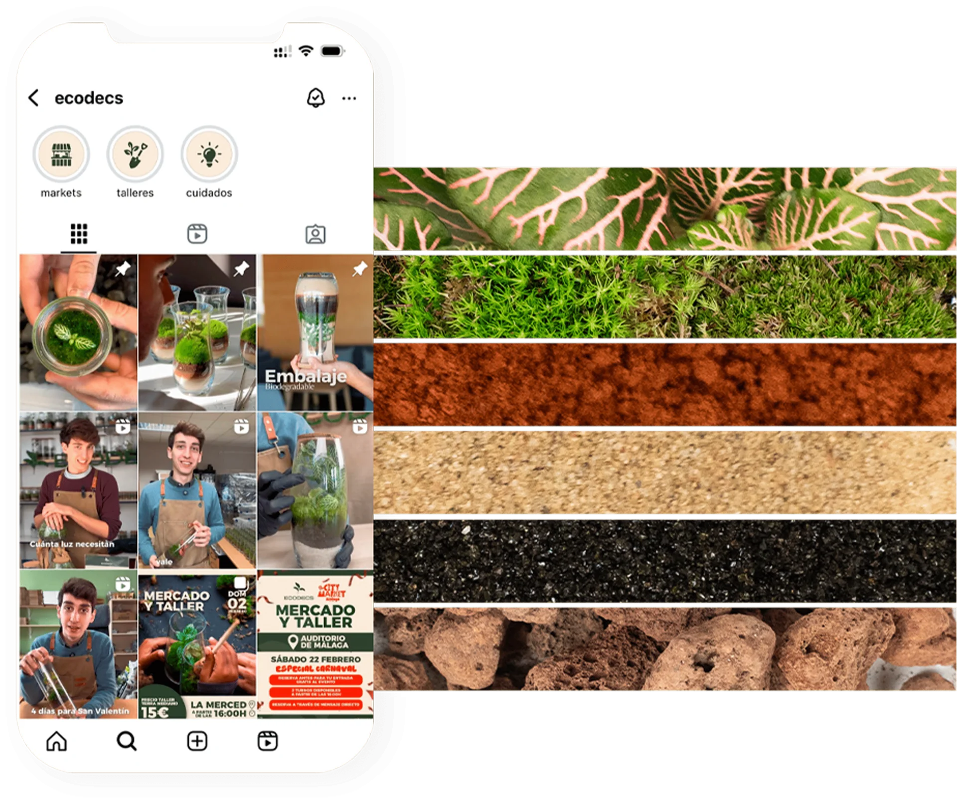 Ecodecs: 80000 visualizaciones en un mes con una campaña de Navidad bien pensada - Ecodecs